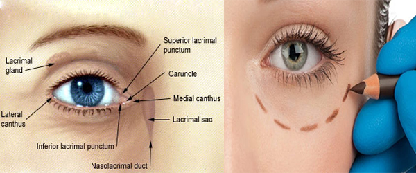 Best oculoplasty surgeon in Ahmedabad